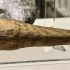 Ένα… πικάντικο αρχαιολογικό εύρημα: Εντοπίστηκε ξύλινο ερωτικό βοήθημα 2.000 ετών