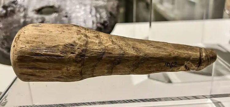 Ένα… πικάντικο αρχαιολογικό εύρημα: Εντοπίστηκε ξύλινο ερωτικό βοήθημα 2.000 ετών