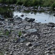 Ανησυχητική η μετεωρολογική κατάσταση στη Γαλλία εδώ και 2 χρόνια – Τι ισχύει για την Ελλάδα και πού έχει να βρέξει σχεδόν ένα μήνα