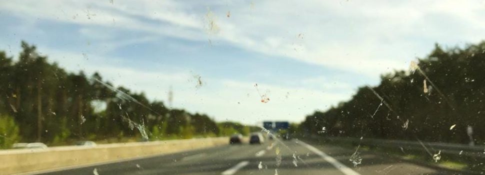 Σωστές και λάθος κινήσεις με τα έντομα στο παρμπρίζ