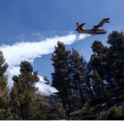 Και η τεχνητή νοημοσύνη στη μάχη απέναντι στις φωτιές -Τι είναι το «Deep Cube» και το «SeasFire»