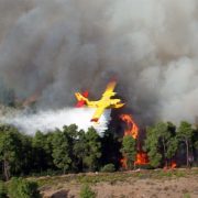 Φάκελος Canadair: Η προσπάθεια των ανθρώπων στον αέρα και στη συντήρηση και ο παράγοντας της δυσκίνητης Ευρώπης για τα CL-515