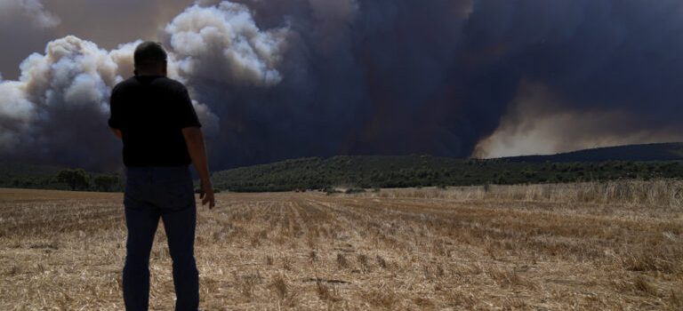 Ε. Λέκκας για τις πυρκαγιές: Βλέπουμε τα γεγονότα να εναλλάσσονται χωρίς να μπορούμε να τα προλάβουμε – Μεγάλη επίπτωση στο περιβάλλον