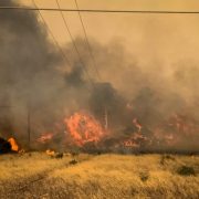 Φυλάκιση ακόμη και για εμπρησμό εξ αμελείας – «Τσουχτερά» πρόστιμα έως και 30.000 ευρώ