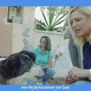 Βάσω Θεοδωρακοπούλου – Μπόγρη : Γιατί κάθε ζωάκι αξίζει ένα σπίτι και μια ζεστή αγκαλιά!