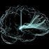 Πειραματική συσκευή βελτιώνει τη λειτουργία του εγκεφάλου σε ασθενείς με τραυματικές εγκεφαλικές κακώσεις