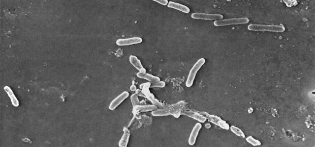 Μικροβιακή αντοχή: Η αόρατη πανδημία που κοστίζει στο σύστημα υγείας 124 εκατ. ευρώ