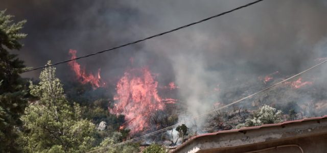 Τι πρέπει να κάνουν οι ιδιοκτήτες οικοπέδων και ακινήτων – Οι τιμές για καθαρισμό και εκθέσεις πυροπροστασίας