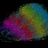 Ερευνητές του Χάρβαρντ και της Google δημιούργησαν τη μεγαλύτερη τρισδιάστατη ανακατασκευή τμήματος εγκεφάλο
