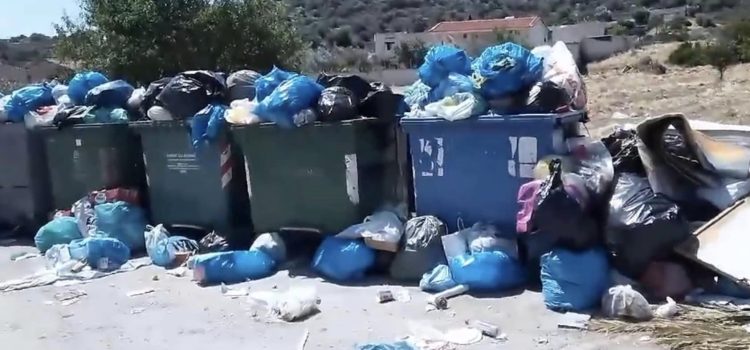 Viral στο MEGA για τα σκουπίδια