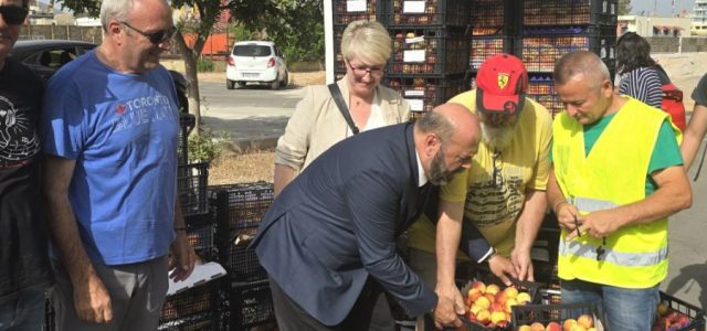 Τόνους ροδάκινα μοίρασε ο Δήμος Περάματος στους πολύτεκνους και ευάλωτους δημότες