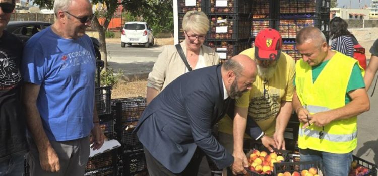 Τόνους ροδάκινα μοίρασε ο Δήμος Περάματος στους πολύτεκνους και ευάλωτους δημότες