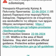 Φωτιά στη Σαλαμίνα: Μήνυμα από το 112 για ετοιμότητα