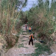 Τι αλλάζει στην υποχρέωση καθαρισμού οικοπέδων το 2026
