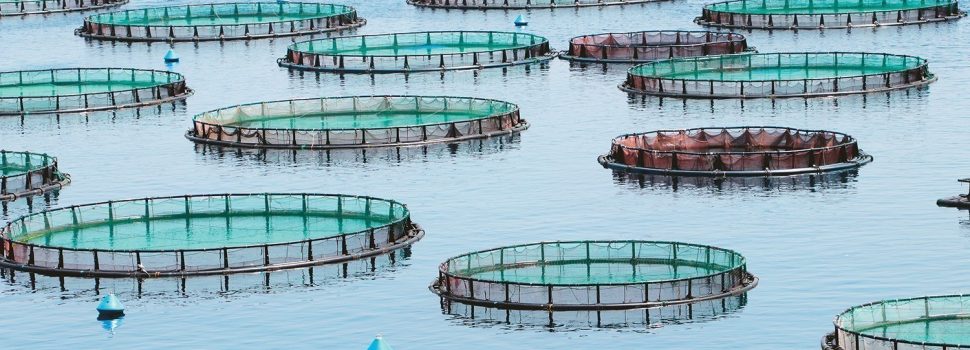 «Το Ιερό του Ποσειδώνα».Ένα Ντοκιμαντέρ για τις αντιδράσεις των κατοίκων του Πόρου ενάντια στις ΠΟΑΥ