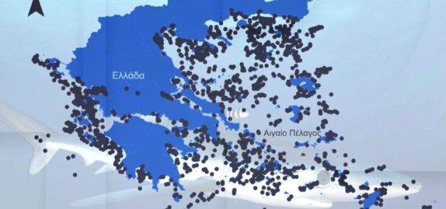 Γέμισαν με σαλάχια και καρχαρίες οι ελληνικές θάλασσες – Τι έδειξαν οι καταγραφές των τελευταίων 90 ετών