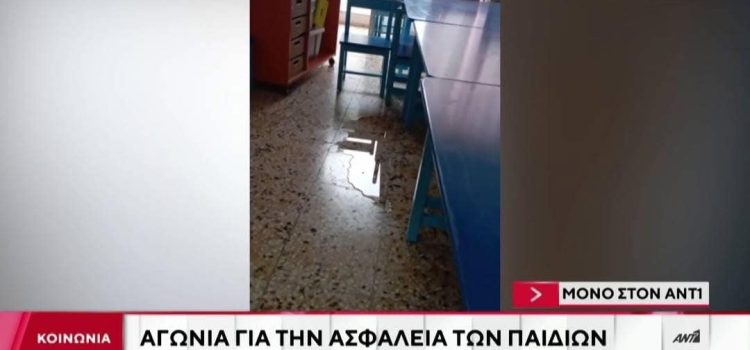 Βάσω Θεοδωρακοπούλου -Μπόγρη: “Λύπη, θλίψη, θυμός…”