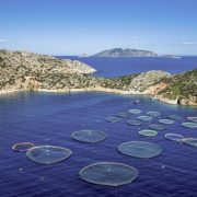 Η Aqua Bridge αναλαμβάνει τα ηνία της Avramar και διαμορφώνει το μέλλον των ιχθυοκαλλιεργειών