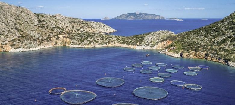 Η Aqua Bridge αναλαμβάνει τα ηνία της Avramar και διαμορφώνει το μέλλον των ιχθυοκαλλιεργειών