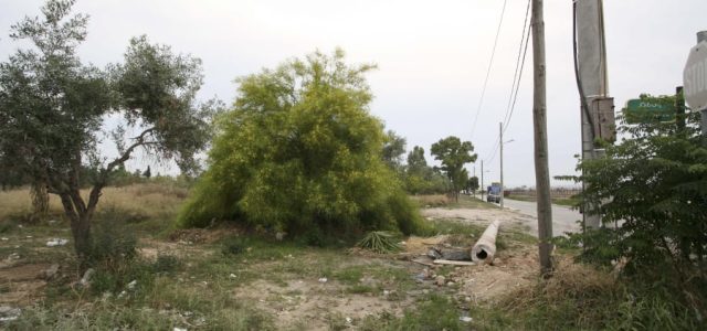 Καθαρισμός οικοπέδων 2025: Πότε πρέπει να γίνει με δήλωση – Οι πρώτες ανακοινώσεις