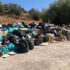 Η ΚΑΘΑΡΙΟΤΗΤΑ ΣΤΟ ΝΗΣΙ ΚΑΙ ΟΙ ΜΟΝΙΜΑ … ΒΡΟΜΙΑΡΗΔΕΣ