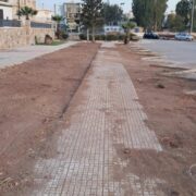 ΘΛΙΨΗ ΚΑΙ ΟΡΓΗ ΓΙΑ ΤΗΝ ΚΑΤΑΣΤΡΟΦΗ ΤΗΣ ΔΕΝΔΡΟΦΥΤΕΥΣΗΣ