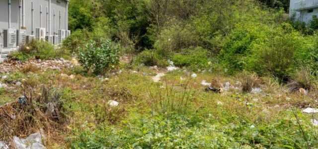 Ακαθάριστα οικόπεδα: Σε ποια σημεία μπορεί να «κολλήσει» η δήλωση
