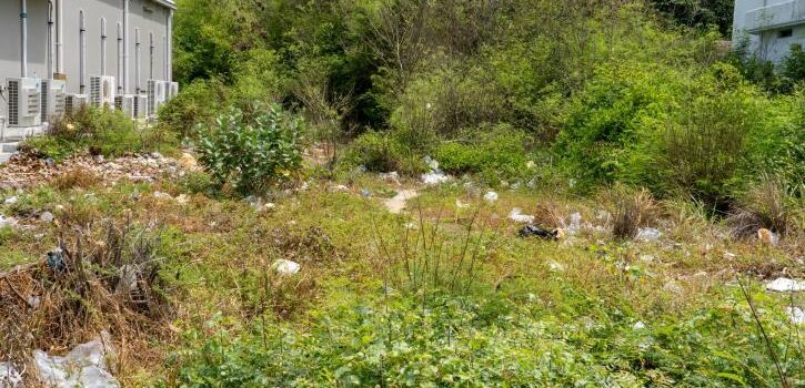 Ακαθάριστα οικόπεδα: Σε ποια σημεία μπορεί να «κολλήσει» η δήλωση