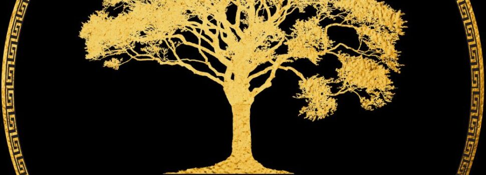 Η Gold Tree Επεκτείνεται στην Ελλάδα: Νέο Στούντιο και Κινηματογραφικές Παραγωγές για την Ενίσχυση της Τοπικής Βιομηχανίας