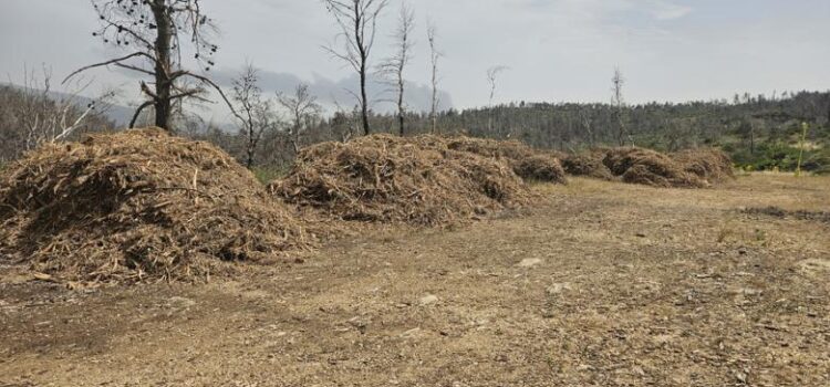 Ακαθάριστα οικόπεδα: Κλείνει σήμερα η πλατφόρμα – 40% κάτω οι δηλώσεις, έρχονται έλεγχοι και πρόστιμα