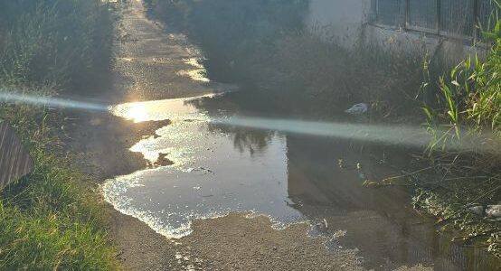 Δεν ζητάμε τίποτα υπερβολικό – ζητάμε να μπορούμε να ζούμε με αξιοπρέπεια