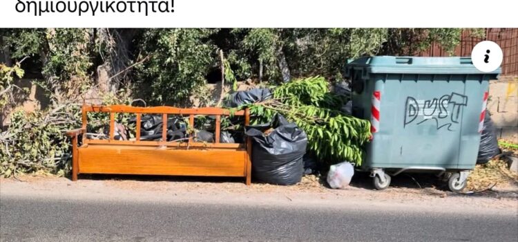 Νομίζω ότι έχουμε περάσει σε άλλο επίπεδο. Η χαρά του παιδιού ….