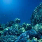 Υποβρύχιοι αισθητήρες, action cams και scooters στη μάχη κατά της ρύπανσης