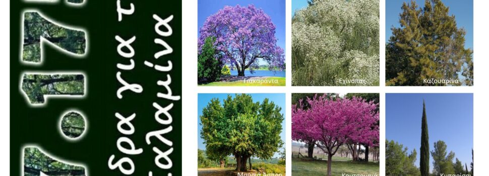 3η δωρεάν διάθεση δένδρων και σπόρων δένδρων