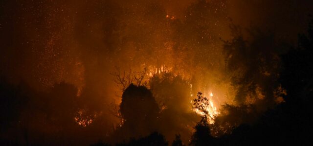 Φωτιά τώρα στη Σαλαμίνα: Ισχυρές δυνάμεις της Πυροσβεστικής στο σημείο