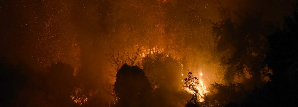 Φωτιά τώρα στη Σαλαμίνα: Ισχυρές δυνάμεις της Πυροσβεστικής στο σημείο