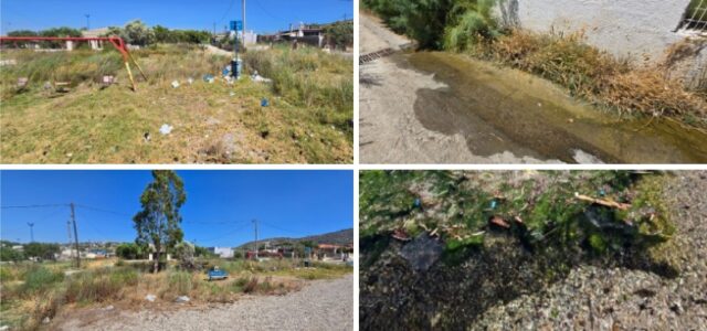 Δήμος Σαλαμίνας: Άνθρωποι ζουν ανάμεσα σε κατσαρίδες, μολυσμένα νερά και ακαθάριστα οικόπεδα