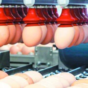 Αναγραφή προέλευσης σε αβγά και κρέας πουλερικών-κουνελιών ζητούν οι Ευρωπαίοι παραγωγοί