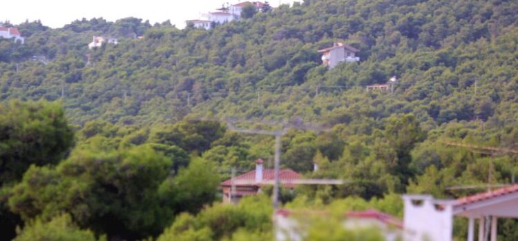 Καταπατημένα: Παράταση έως 11 Σεπτεμβρίου για την εξαγορά τους