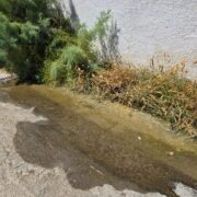Έχουμε φτάσει στο σημείο να παρακαλάμε για τα αυτονόητα