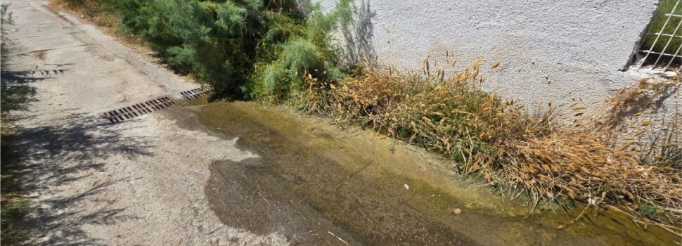 Έχουμε φτάσει στο σημείο να παρακαλάμε για τα αυτονόητα