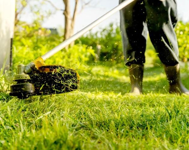 Σημαντικές αλλαγές στην υποχρέωση καθαρισμού οικοπέδων από την 1 Απριλίου 2026