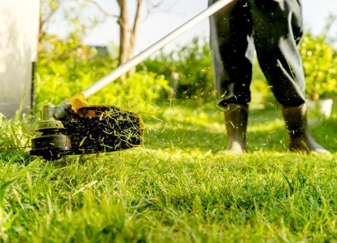 Σημαντικές αλλαγές στην υποχρέωση καθαρισμού οικοπέδων από την 1 Απριλίου 2026