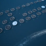 Στα άκρα η αντιπαράθεση των εταιρειών ιχθυοκαλλιέργειας με την κυβέρνηση