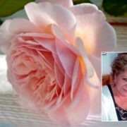 ΣΤΟ ΤΕΛΕΥΤΑΙΟ ΠΑΙΧΝΙΔΙΣΜΑ