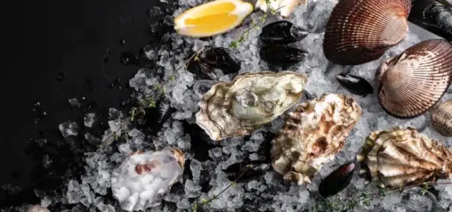 Προληπτική απαγόρευση αλιείας στη Σαλαμίνα λόγω βιοτοξινών