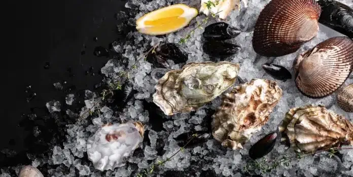 Προληπτική απαγόρευση αλιείας στη Σαλαμίνα λόγω βιοτοξινών