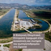 Ελληνική Ομοσπονδία Κάνοε-Καγιάκ, SUP, Surfing