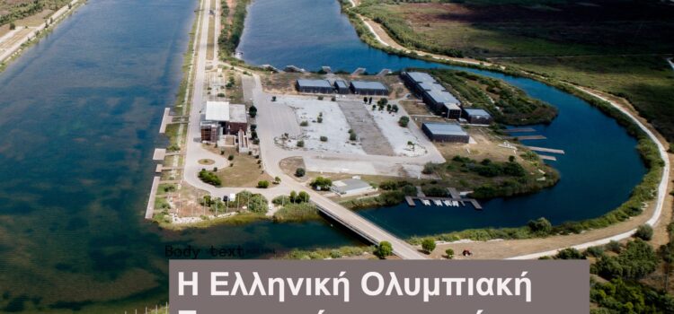 Ελληνική Ομοσπονδία Κάνοε-Καγιάκ, SUP, Surfing