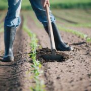 Τρόφιμα: Χάνουμε τη μάχη και στο «ράφι» και στο «χωράφι»